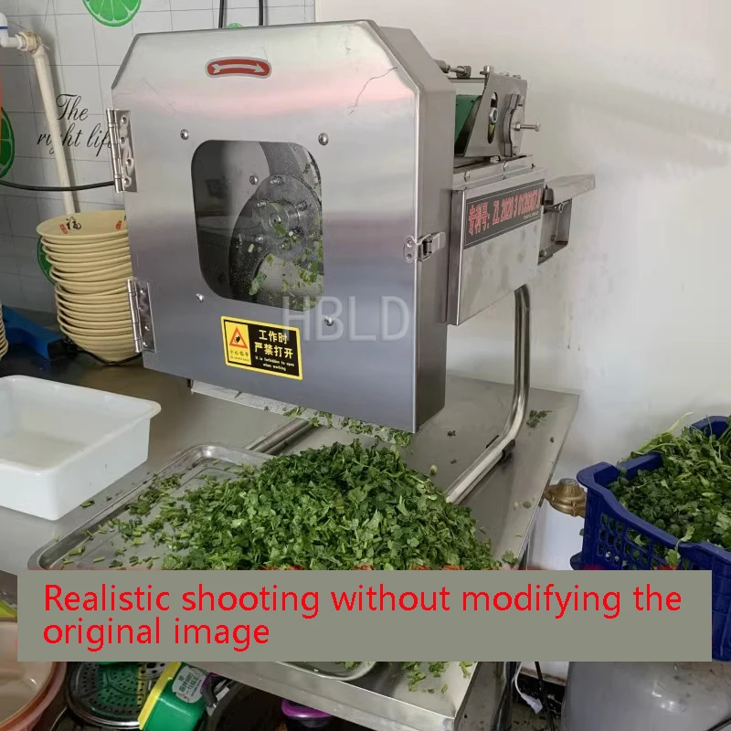 Small Electric Vegetable Cutte - Kitchen Appliances Green recension och pris